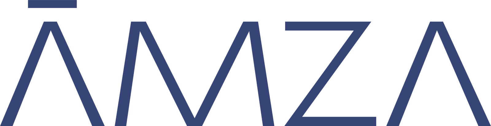 Amza-Logo-B.png