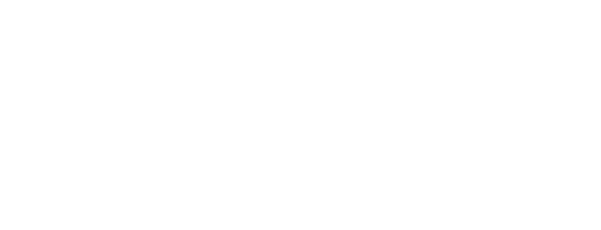 Mena Spine Logo 2